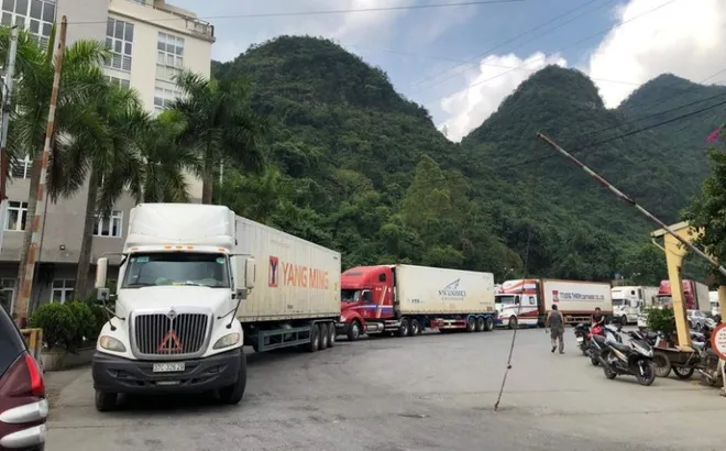 Cục Hải quan hoả tốc yêu cầu "thông quan nhanh" thực phẩm dịp sát Tết Nguyên đán