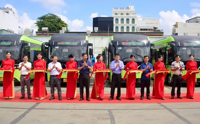 TPHCM có thêm 169 xe buýt điện trên 9 tuyến buýt từ ngày 1-3