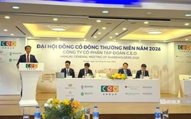 Chủ tịch CEO Group: Cổ đông “đầu tư nhưng không đồng hành”, công ty trả giá bằng thời gian và tiền tỷ