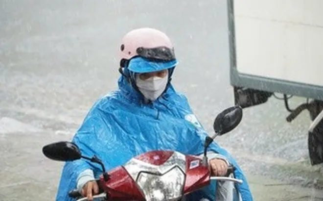 TPHCM: Mưa như trút nước kèm gió mạnh và sấm sét