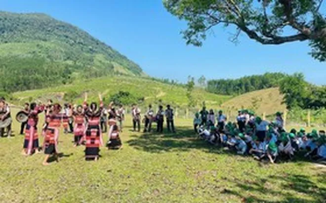 Người Bana ở Gia Lai gieo cây, giữ rừng phát triển du lịch cộng đồng